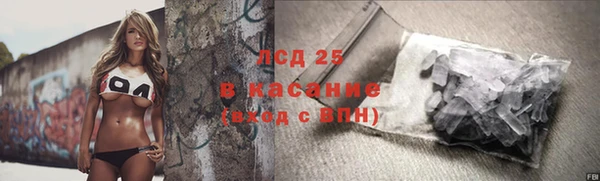 стафф Порхов