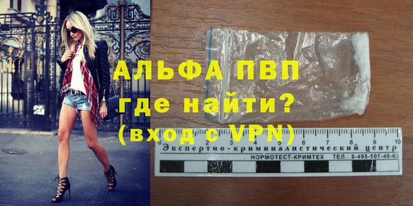 стафф Порхов