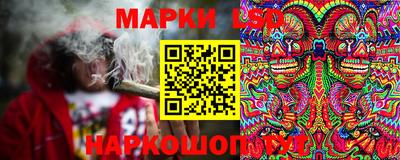 шишки Кингисепп