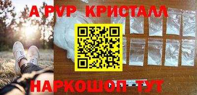 СК Камышлов