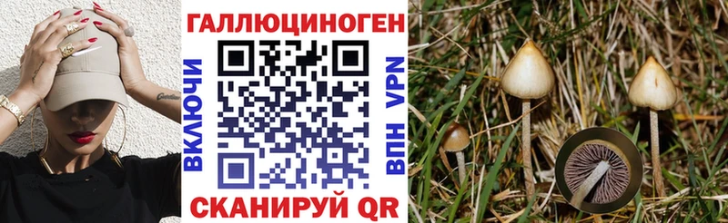 как найти закладки  блэк спрут сайт  Псилоцибиновые грибы ЛСД  Учалы 