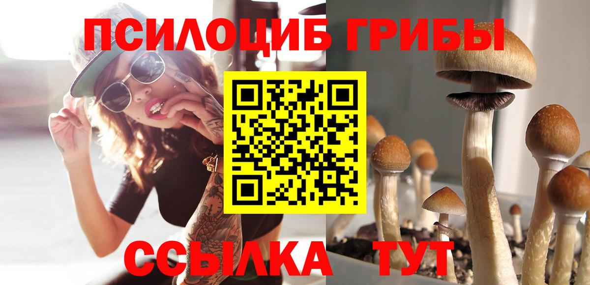 Псилоцибиновые грибы мицелий  Вход с VPN  Учалы 